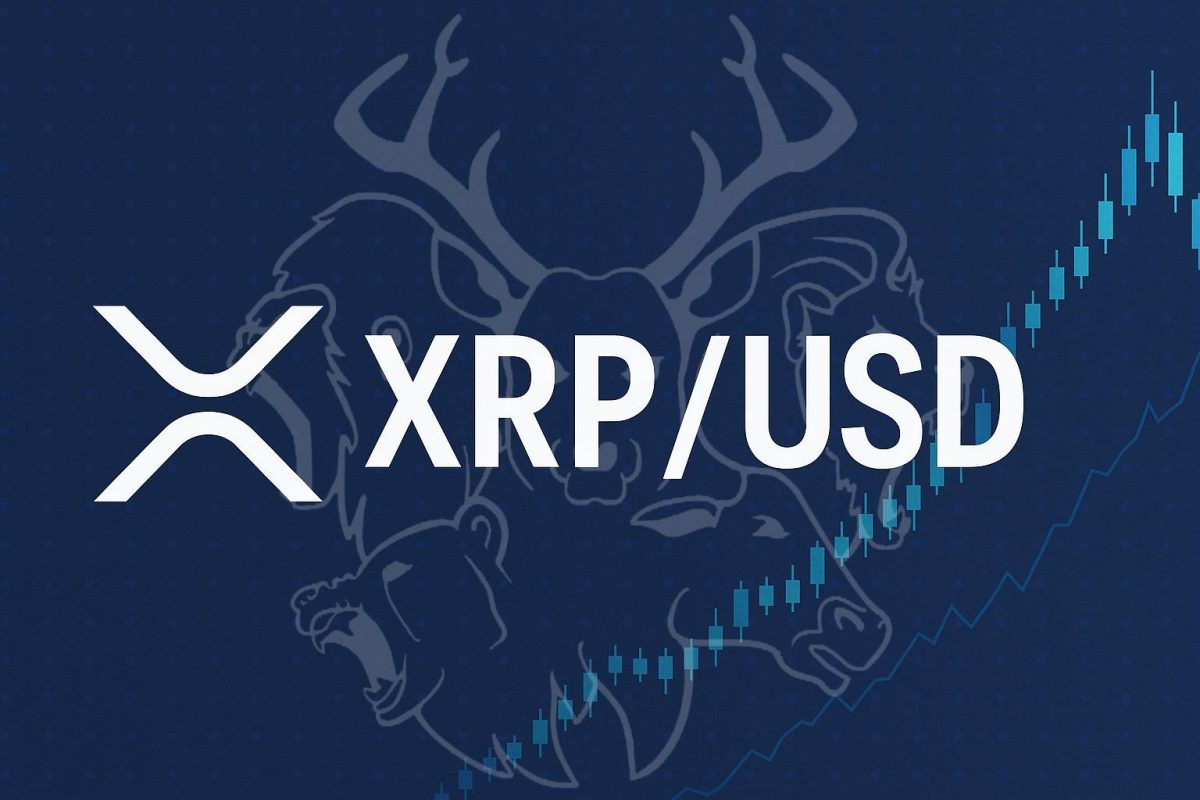 XRP USD market analysis banner