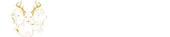 BIG 5 CAPITAL