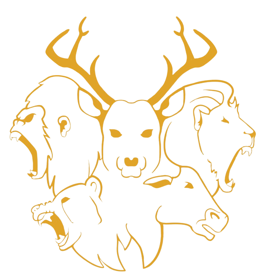 BIG 5 CAPITAL